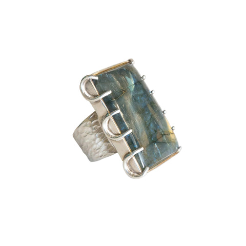 Anillos